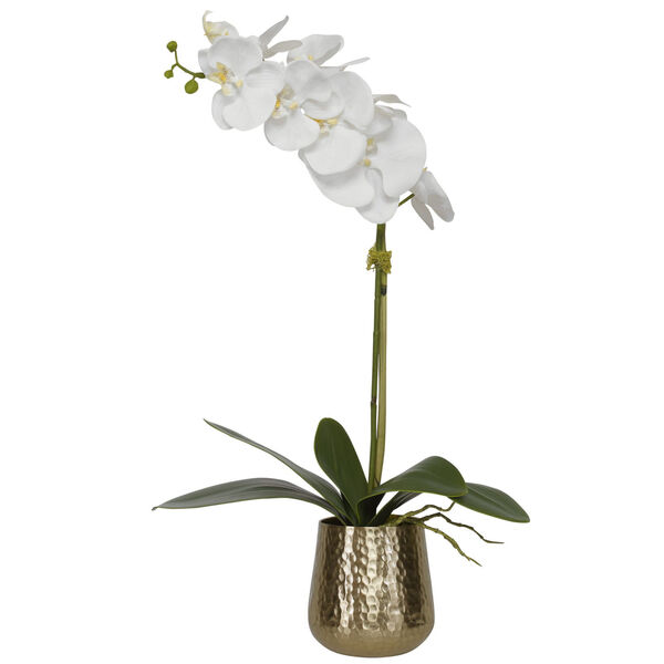 Cami Orchid with Hammered Brass Pot, image 1