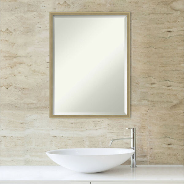 Lucie Champagne 19W X 25H-Inch Bathroom Vanity Wall Mirror, image 5