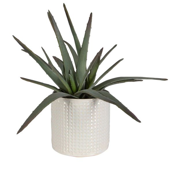Taos Ivory Beige Aloe Centerpiece In Pot, image 4