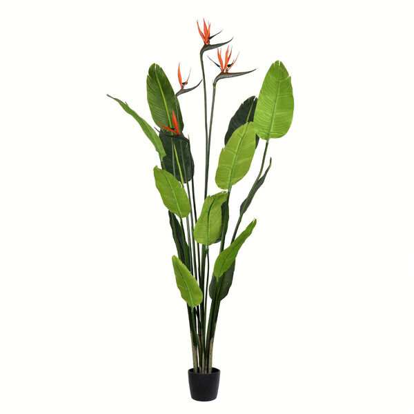 Green Potted Bird of Paradise Palm with 14 Leaves, image 1
