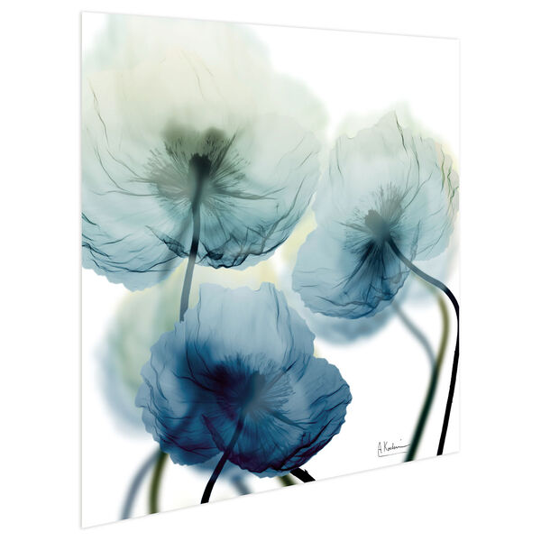 Unfocused Beauty 1 Frameless Free Floating Tempered Glass Graphic Wall Art, image 3