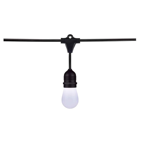 Starfish Black 24-Foot Tunable white LED String Light Fixture, image 2