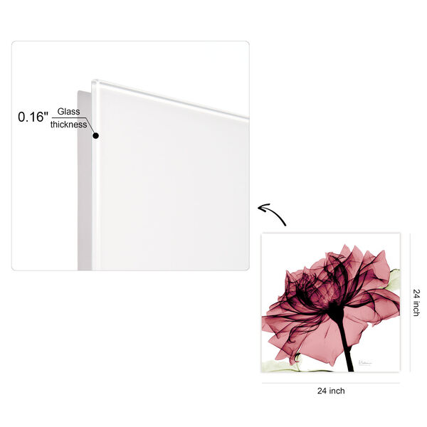 Chianti Rose I Frameless Free Floating Tempered Glass Graphic Wall Art, image 4