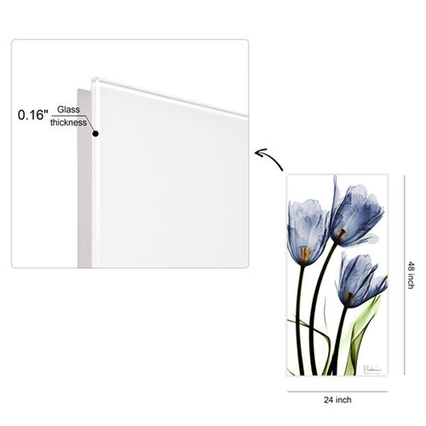 Blue Tulips 48-Inch Frameless Free Floating Tempered Glass Graphic Wall Art, image 4
