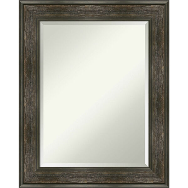 Rail Brown 24W X 30H-Inch Bathroom Vanity Wall Mirror, image 1