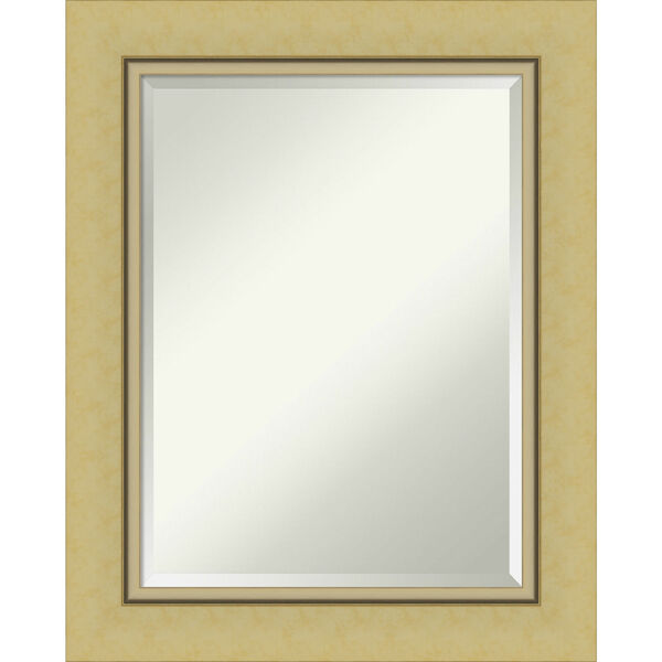 Landon Gold 24W X 30H-Inch Bathroom Vanity Wall Mirror, image 1