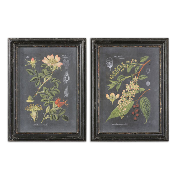 Midnight Botanicals by Grace Feyock: 24.5 x 32.5-Inch Print Reproduction, Set of 2, image 2