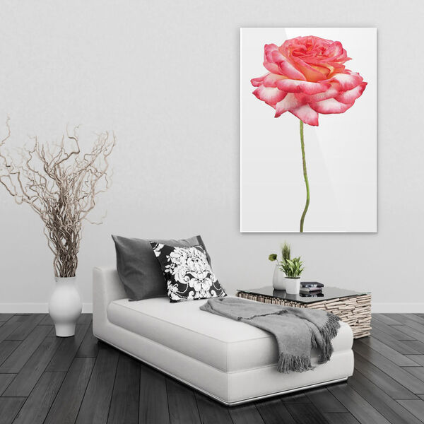 Pink Rose on White Frameless Free Floating Tempered Glass Graphic Wall Art, image 1