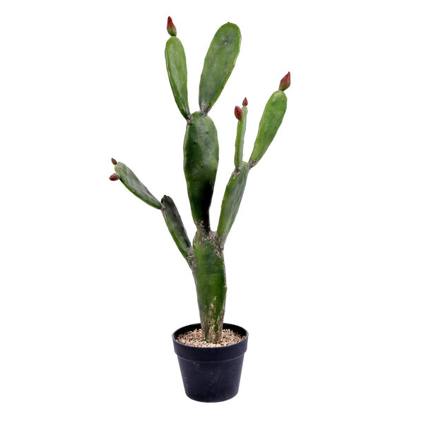 Green 34-Inch Cactus with Black Pot, image 1