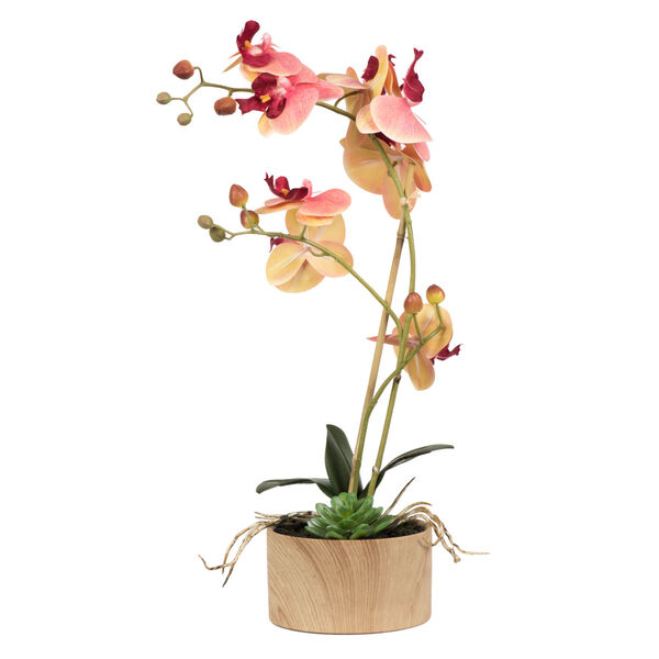 Pink and Orange Orchid Arrangement, image 1