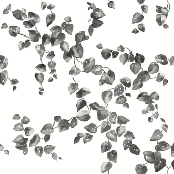 Simply Farmhouse Black and White Creeping Fig Vine Wallpaper, image 2