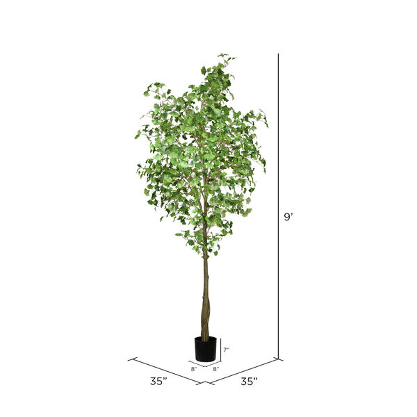 Green Potted Ginko Tree with 1491 Leaves, image 2