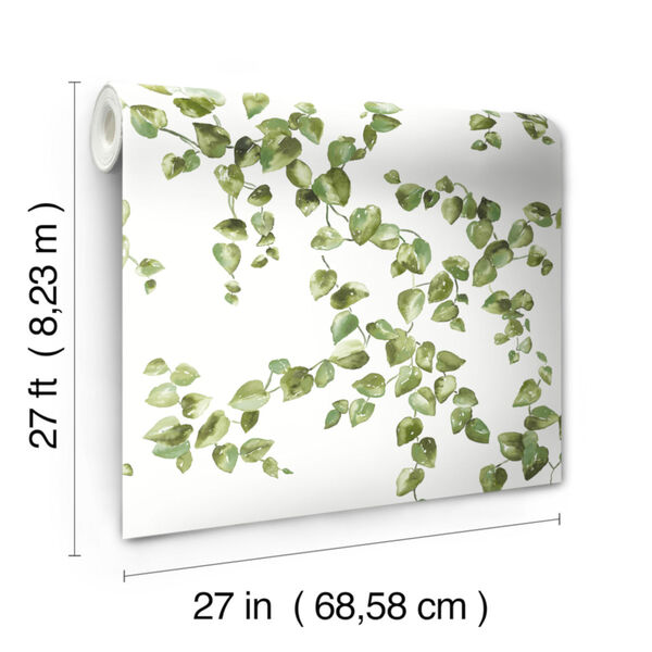 Simply Farmhouse Green and White Creeping Fig Vine Wallpaper, image 3
