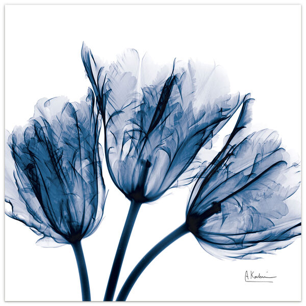 Blue Tulip Frameless Free Floating Tempered Glass Graphic Wall Art, image 2