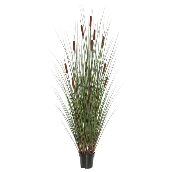 Multicolor 24-Inch Grass with Five Cattails Potted, image 1