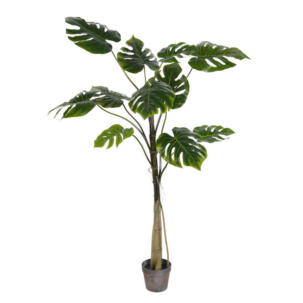 Green 54-Inch Potted Grand Split Philo Tree with 11 Leaves, image 1
