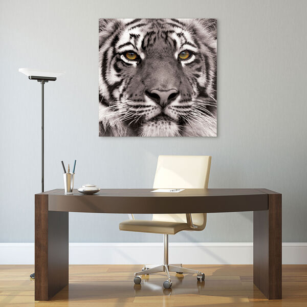 Eye of the Tiger Frameless Free Floating Tempered Glass Graphic Wall Art, image 1