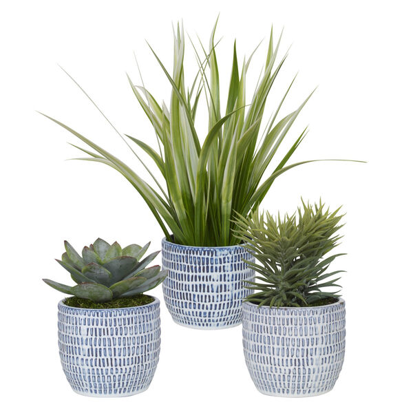 Puebla Greenery in Blue and White Pots, Set of 3, image 1