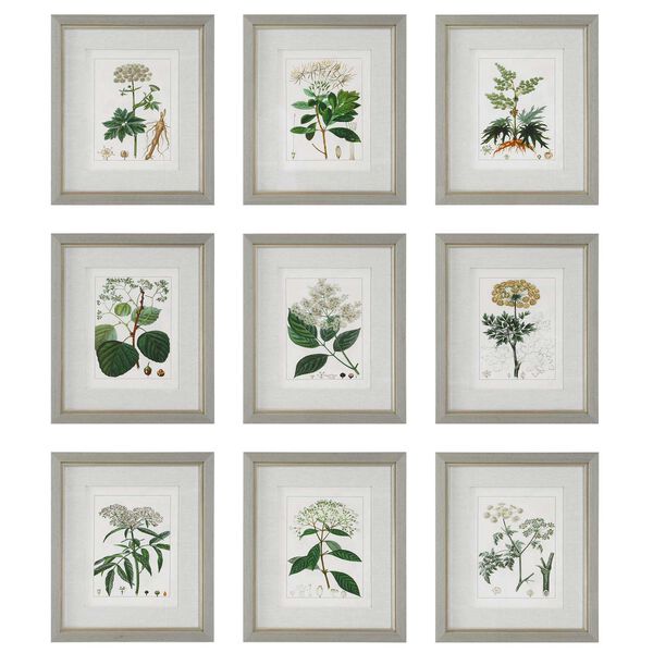 Antique Light Gray Botanicals Framed Prints, Set of 9, image 2