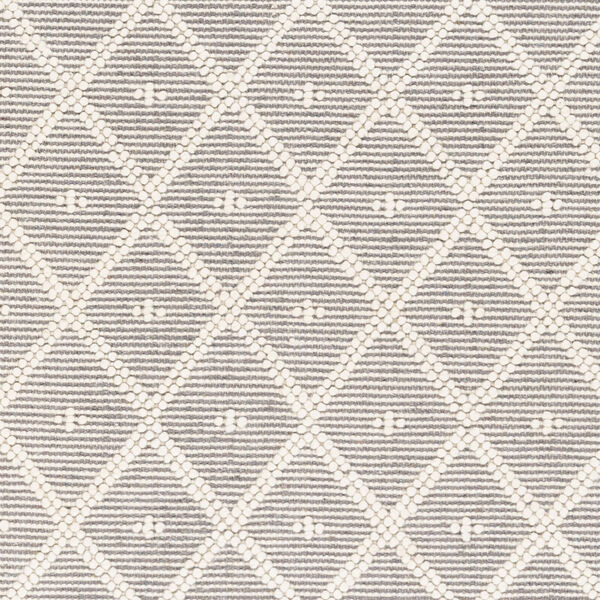 Casa Decampo Medium Gray Rectangle 2 Ft. 3 In. x 3 Ft. 9 In. Rugs, image 2