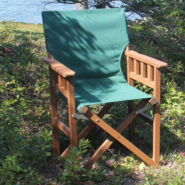 Pangean Campaign Chair, image 6
