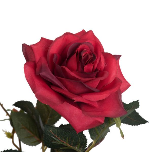 Red 45-Inch Rose Plant in Pot, image 2