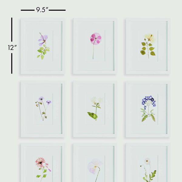 Multicolor Mountain Flower Petite Prints Wall Art, Set of Nine, image 4