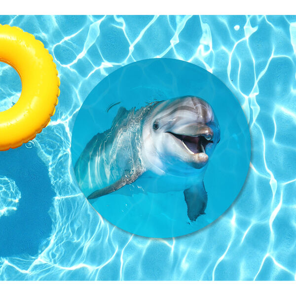 Blue Smiling Dolphin Underwater Pool Mat, image 1