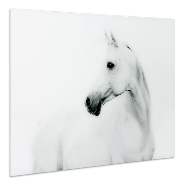 Blanco Stallion Horse Frameless Free Floating Tempered Glass Graphic Wall Art, image 3