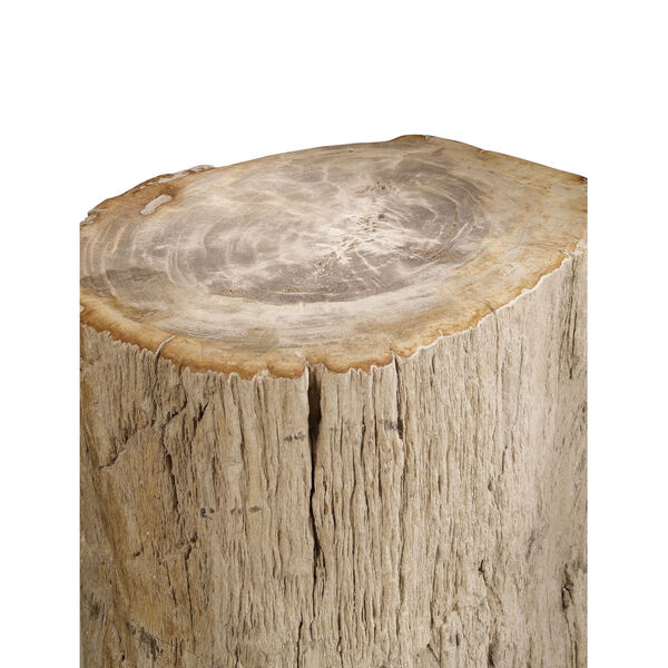 Petrified Brown Wood Side Table, image 2