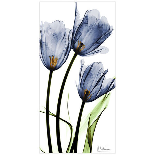 Blue Tulips 48-Inch Frameless Free Floating Tempered Glass Graphic Wall Art, image 2