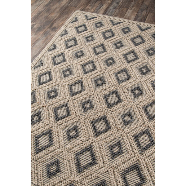 Andes Beige Rectangular: 7 Ft. 9 In. x 9 Ft. 9 In. Rug, image 3