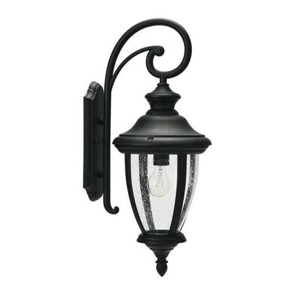Matte Black One-Light 10-Inch Outdoor Wall Mount, image 1