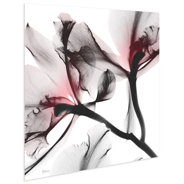 Coral Luster 2 Frameless Free Floating Tempered Glass Graphic Wall Art, image 3