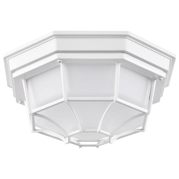 White LED Spider Cage Outdoor Wall Mount with Frosted Glass, image 1