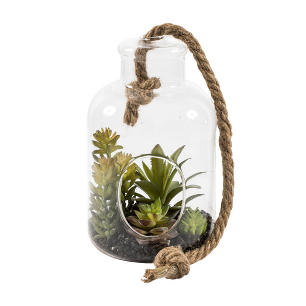 Green Assorted Succulents in Glass Jar, image 2