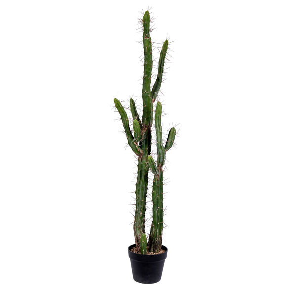Green 46-Inch Cactus with Black Pot, image 1