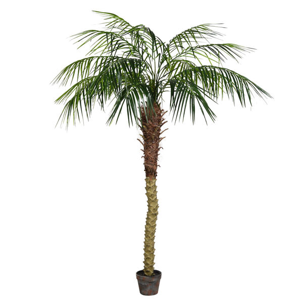 Green 6-Feet Potted Pheonix Palm Tree with 545 Leaves, image 1