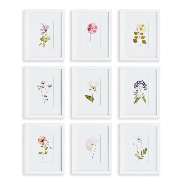 Multicolor Mountain Flower Petite Prints Wall Art, Set of Nine, image 1