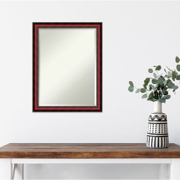 Rubino Brown 21W X 27H-Inch Decorative Wall Mirror, image 6