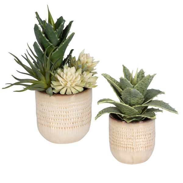 Neutral Tan Seaside Succulents, Set Of Two, image 3
