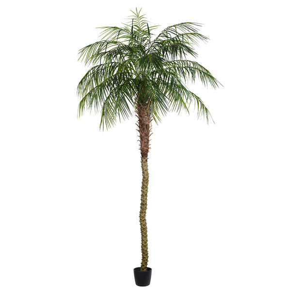 Green Potted Phoenix Palm Tree with 1144 Leaves, image 1