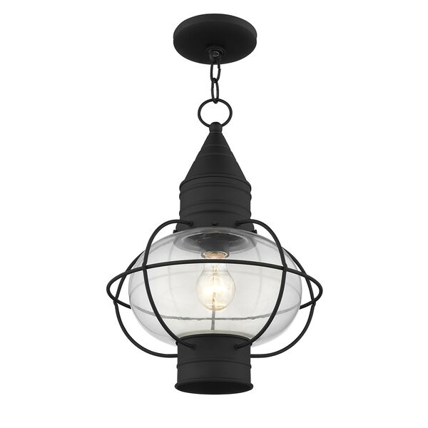 Newburyport Black One-Light 12-Inch Lantern, image 4
