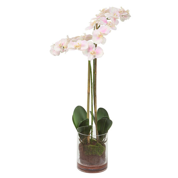 Blush Pink and White Orchids with Glass Container, image 1