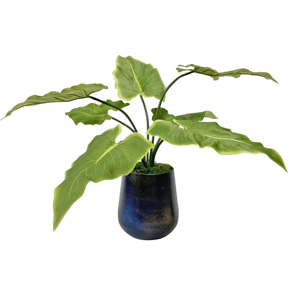Mari Calla Blue and Green 24-Inch Accent Plant, image 1