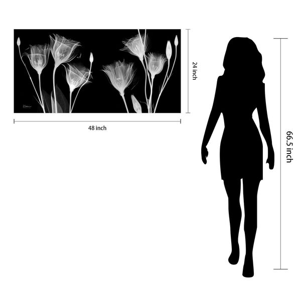 Gentian X-ray Frameless Free Floating Tempered Glass Graphic Wall Art, image 6