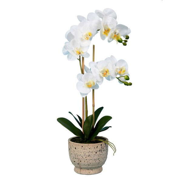 White Real Touch Phalaenopsis in Pot Real Touch, image 1