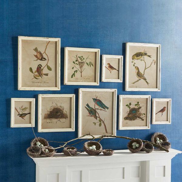 Antique Cream Framed Aviary Bird Nest Habitat Prints Wall Art, Set of Nine, image 1