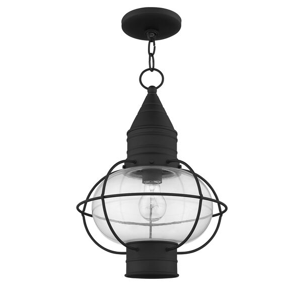 Newburyport Black One-Light 12-Inch Lantern, image 3