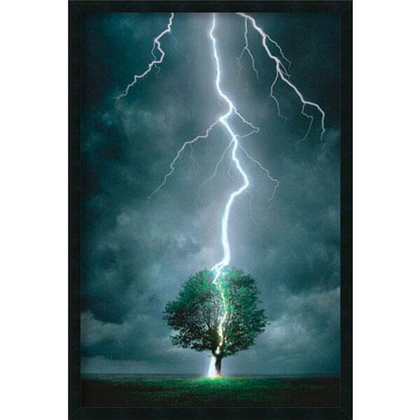 Lightning Striking Tree: 25.4 x 37.4 Print Framed with Gel Coated Finish, image 1
